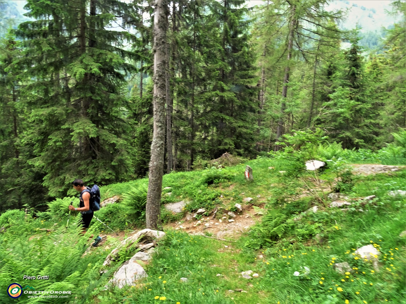 93 Dal Sentiero delle foppe agganciamo a dx il Sentiero estivo CAI 247 per rientrare a Pagliari.JPG